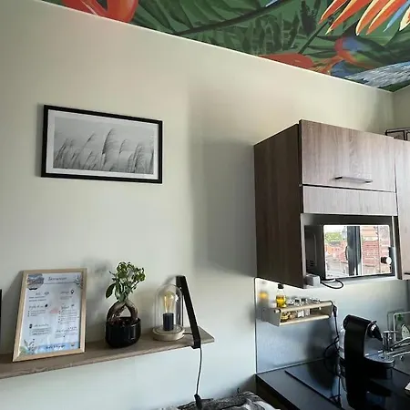 Appartement St Bruno - Studio tropiques  *