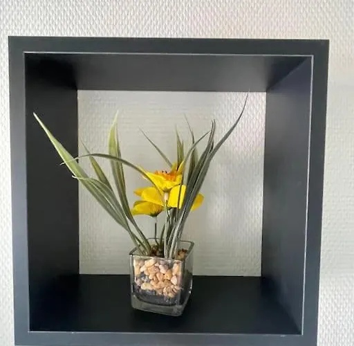 St Bruno - Studio tropiques  *