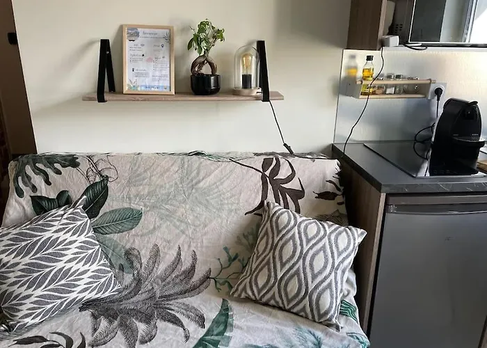 St Bruno - Studio tropiques  * Grenoble