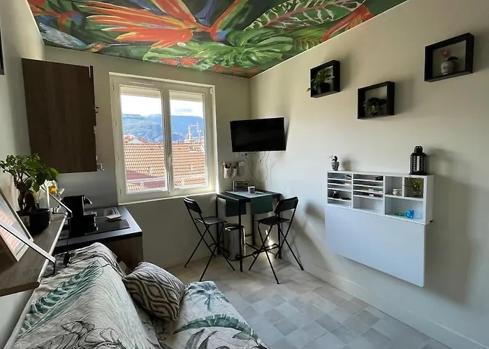 Apartment St Bruno - Studio tropiques  *