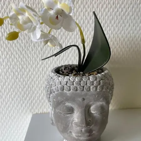 St Bruno - Studio tropiques  Daire *