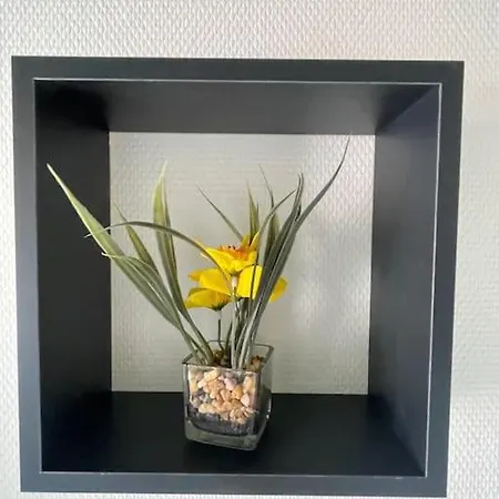 St Bruno - Studio tropiques  *